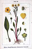  no thumbnail available