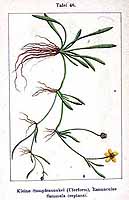  no thumbnail available