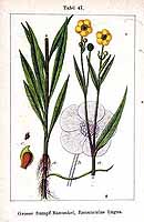  no thumbnail available