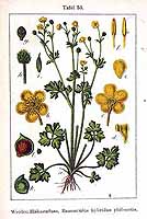  no thumbnail available