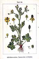  no thumbnail available