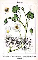  no thumbnail available