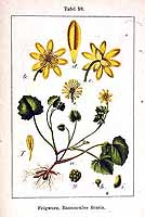  no thumbnail available