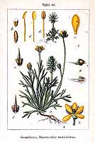  no thumbnail available