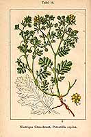  no thumbnail available