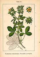  no thumbnail available