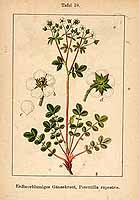  no thumbnail available