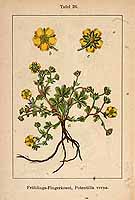  no thumbnail available