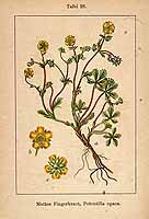  no thumbnail available