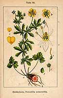  no thumbnail available