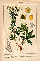  no thumbnail available