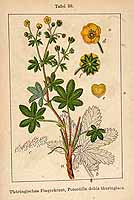  no thumbnail available