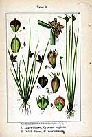  no thumbnail available