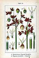  no thumbnail available