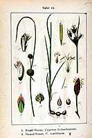  no thumbnail available