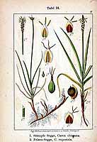  no thumbnail available