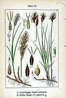  no thumbnail available