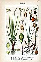  no thumbnail available