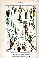  no thumbnail available