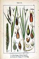  no thumbnail available