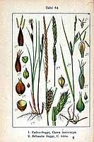  no thumbnail available