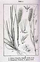  no thumbnail available