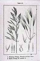  no thumbnail available