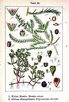  no thumbnail available