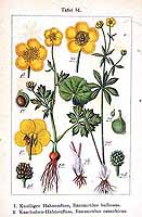  no thumbnail available