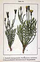  no thumbnail available