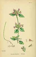  no thumbnail available