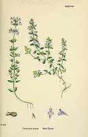  no thumbnail available