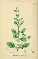  no thumbnail available