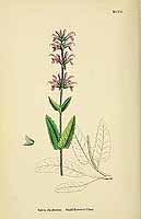  no thumbnail available