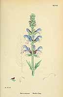  no thumbnail available