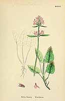  no thumbnail available