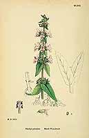  no thumbnail available