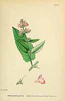  no thumbnail available