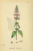  no thumbnail available