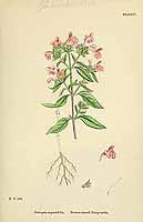  no thumbnail available