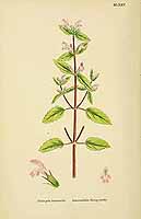  no thumbnail available