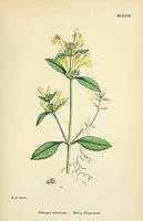  no thumbnail available