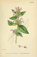  no thumbnail available