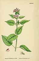  no thumbnail available