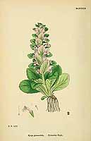  no thumbnail available