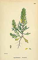  no thumbnail available