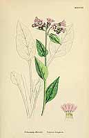  no thumbnail available