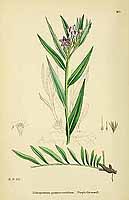  no thumbnail available