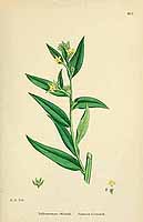  no thumbnail available