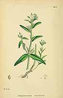  no thumbnail available